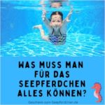 Was Muss Man Für Seepferdchen Machen? [Info]